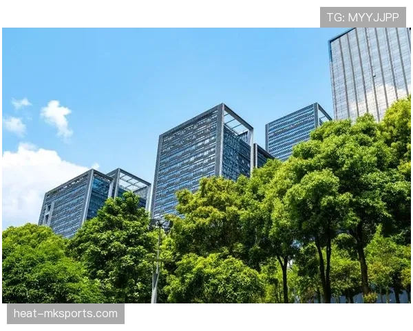 梅里诺羊毛驱动纺织业绿色升级 助力高效可持续发展